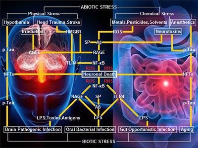 Biotic/Abiotic Stress-Driven Alzheimer's Disease